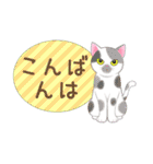 ねこちゃんいっぱいシール風1 日常挨拶（個別スタンプ：37）