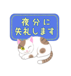 ねこちゃんいっぱいシール風1 日常挨拶（個別スタンプ：38）