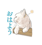 うちの猫s（個別スタンプ：7）