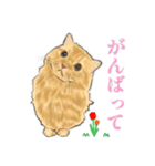 うちの猫s（個別スタンプ：38）