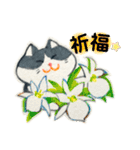 Memenekosan＿ハチワレ猫cat_台湾語（個別スタンプ：5）