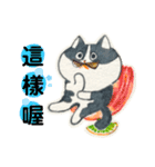 Memenekosan＿ハチワレ猫cat_台湾語（個別スタンプ：11）