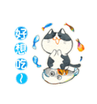 Memenekosan＿ハチワレ猫cat_台湾語（個別スタンプ：13）