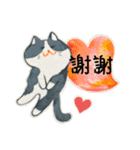 Memenekosan＿ハチワレ猫cat_台湾語（個別スタンプ：14）