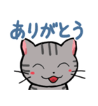 字が大きく見やすいスタンプねこ2 癒し系（個別スタンプ：1）