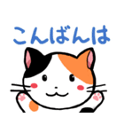 字が大きく見やすいスタンプねこ2 癒し系（個別スタンプ：22）