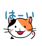 字が大きく見やすいスタンプねこ2 癒し系（個別スタンプ：26）