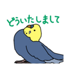 青と黄色のセキセイインコ（個別スタンプ：9）