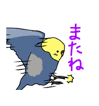 青と黄色のセキセイインコ（個別スタンプ：21）