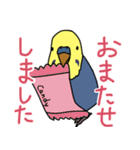 青と黄色のセキセイインコ（個別スタンプ：24）