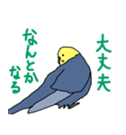 青と黄色のセキセイインコ（個別スタンプ：31）