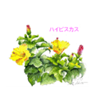 40種類の手描きの季節の花（和名付き）（個別スタンプ：28）