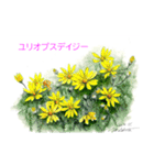 40種類の手描きの季節の花（和名付き）（個別スタンプ：39）