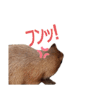 いしかわ動物園 動物達のスタンプ（個別スタンプ：8）