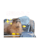 いしかわ動物園 動物達のスタンプ（個別スタンプ：13）