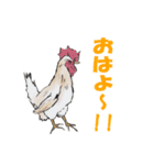 リアル動物日常会話（個別スタンプ：3）