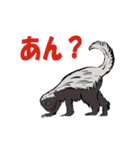 リアル動物日常会話（個別スタンプ：9）