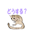 リアル動物日常会話（個別スタンプ：14）