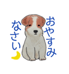 文字が大きい♪手描きのわんこ（個別スタンプ：7）