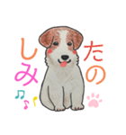 文字が大きい♪手描きのわんこ（個別スタンプ：15）