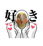 うちのカワイイちびっこたちPart13（個別スタンプ：5）