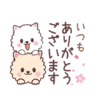 ふわふわ、かわいいポメラニアン（個別スタンプ：4）