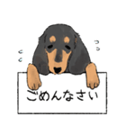 【修正版】ミニチュアダックスのモクちゃん（個別スタンプ：7）