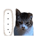 横山家のお猫様7リアクション用（個別スタンプ：23）