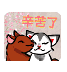 お祝い＆日常に猫と華の水墨画中国語版（個別スタンプ：14）