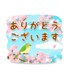 大人可愛い♡桜いっぱい気づかい挨拶・敬語（個別スタンプ：4）