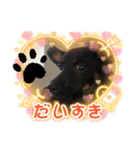 エミリースタンプ1（個別スタンプ：8）