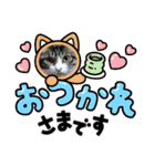 保護猫Family（個別スタンプ：1）