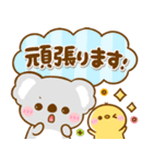 大人可愛い♡まいにちコアラ（個別スタンプ：8）