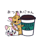 にゃん×3！！！（個別スタンプ：15）