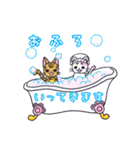 にゃん×3！！！（個別スタンプ：22）