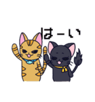 にゃん×3！！！（個別スタンプ：28）