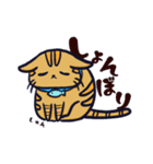 にゃん×3！！！（個別スタンプ：31）