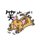 にゃん×3！！！（個別スタンプ：36）