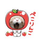 アーユルキャット春（個別スタンプ：11）