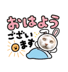 アーユルキャット春（個別スタンプ：12）