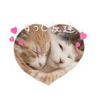 アーユルキャット春（個別スタンプ：20）