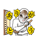 アーユルキャット春（個別スタンプ：25）