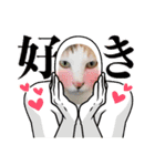 アーユルキャット春（個別スタンプ：29）