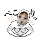 アーユルキャット春（個別スタンプ：31）
