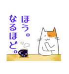 二色猫の日常スタンプ(日本語)（個別スタンプ：20）