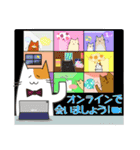 二色猫の日常スタンプ(日本語)（個別スタンプ：23）