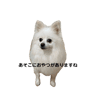 こおりしたさかなドッグ（個別スタンプ：2）