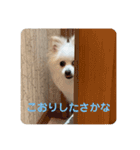 こおりしたさかなドッグ（個別スタンプ：14）