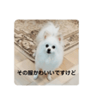 こおりしたさかなドッグ（個別スタンプ：15）