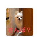 こおりしたさかなドッグ（個別スタンプ：17）